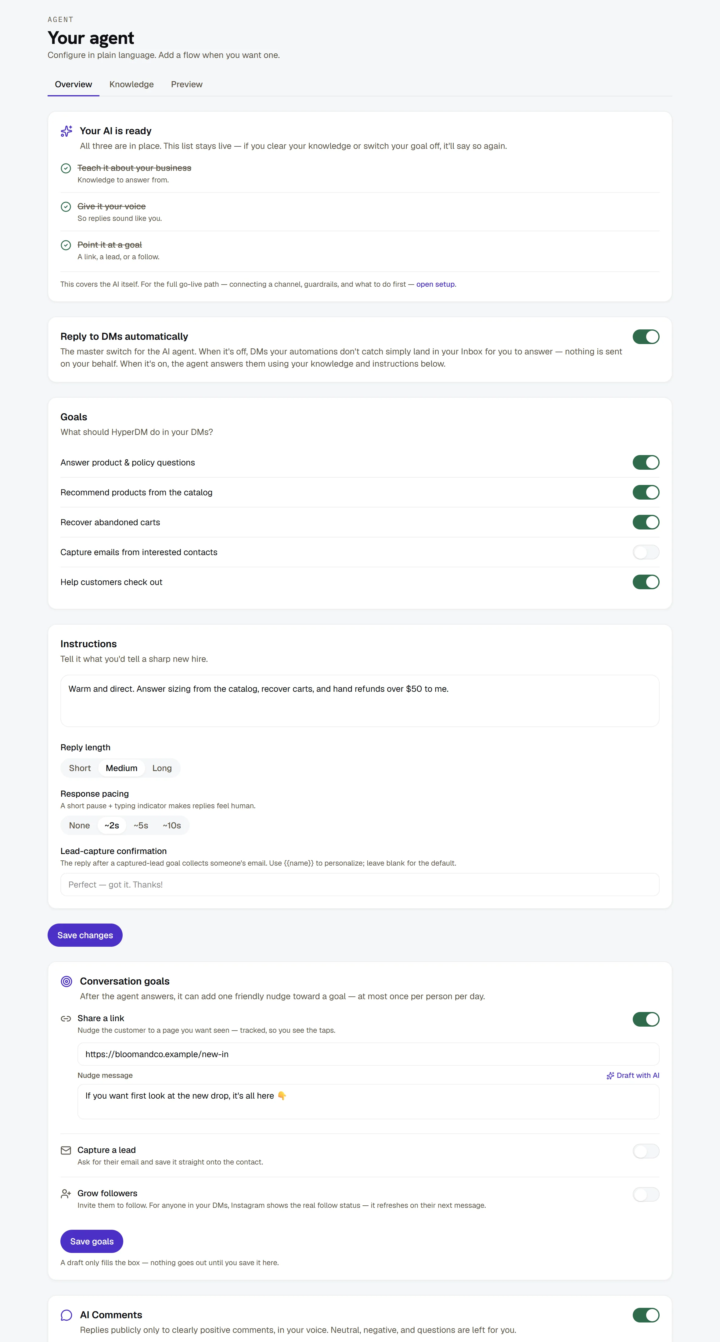 Agent → Overview — the setup card, the master switch, goals, instructions and pacing