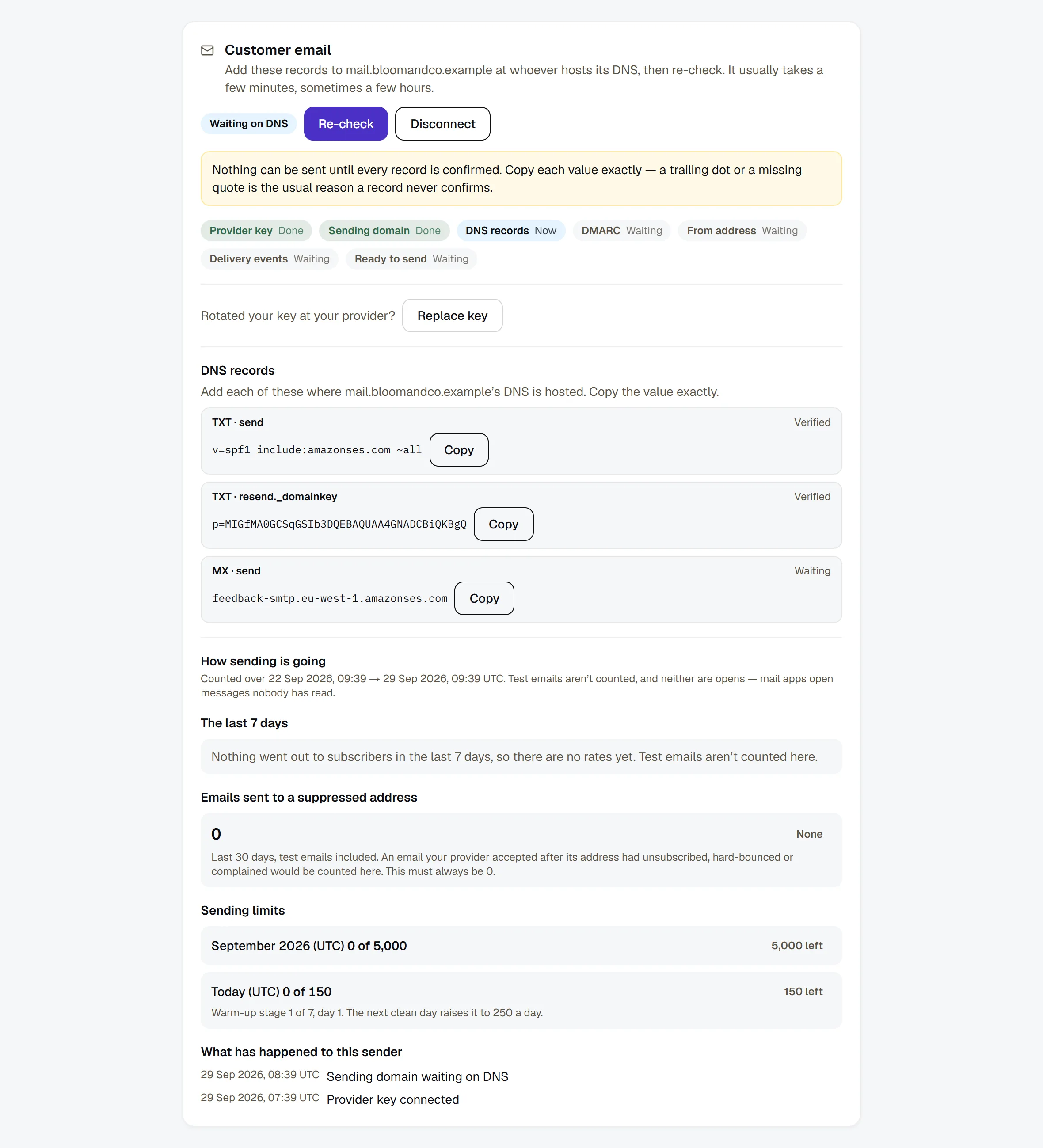Settings → Channels → Email at the DNS step — the seven steps, each record to publish with its Copy button, and each record's own status