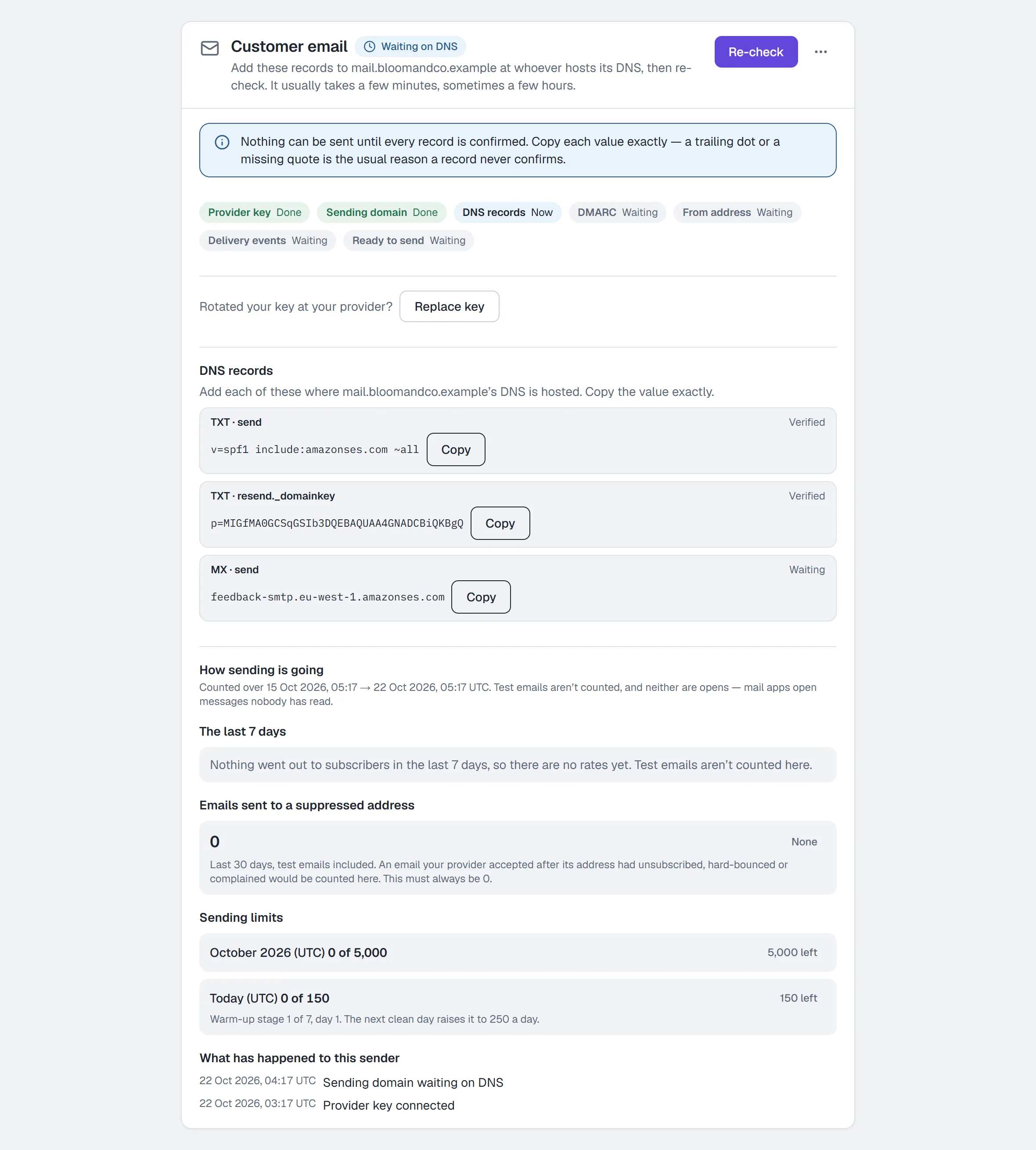 Settings → Channels → Email at the DNS step — the seven steps, each record to publish with its Copy button, and each record's own status